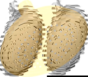 Single Function Showerhead in Vibrant Brushed Moderne Brass