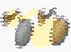 Single Function Showerhead in Vibrant Brushed Moderne Brass