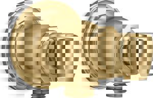 Hand Shower Holder in Vibrant Brushed Moderne Brass