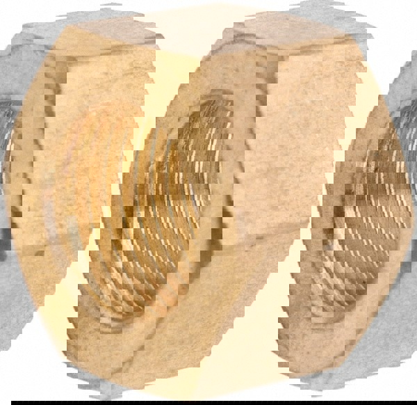 Compression Tube Nut: 5/16-24