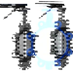 LF 2 DI SS BUNA 255# LUG BFV