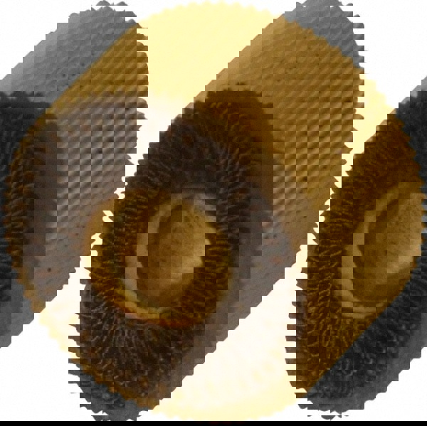 Standard Knurl Wheel: 3/4