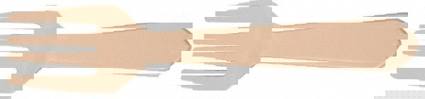 FORKS, PLASTIC, TYPE IV HIGH IMPACT, TAN, 5