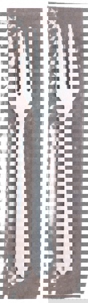 Paper & Plastic Cups, Plates, Bowls & Utensils; Flatware Type: Plastic Fork ; UNSPSC Code: 48101919