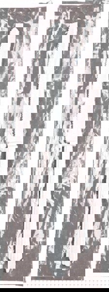 Paper & Plastic Cups, Plates, Bowls & Utensils; Flatware Type: Plastic Knife ; UNSPSC Code: 48101919