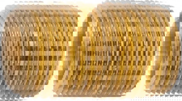 Brass Pipe Nipple: Threaded on Both Ends, 1