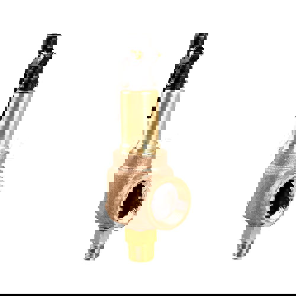 Air & Gas Relief Valve: 3/4