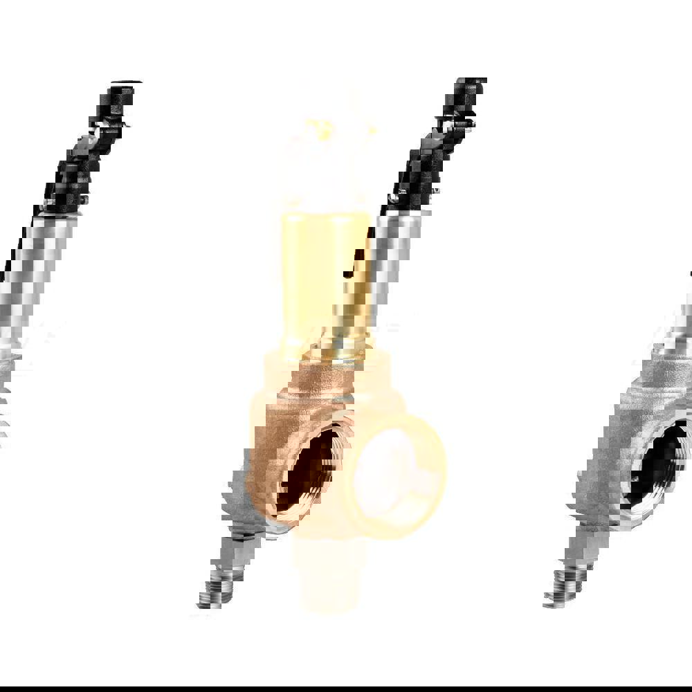 Air & Gas Relief Valve: 1