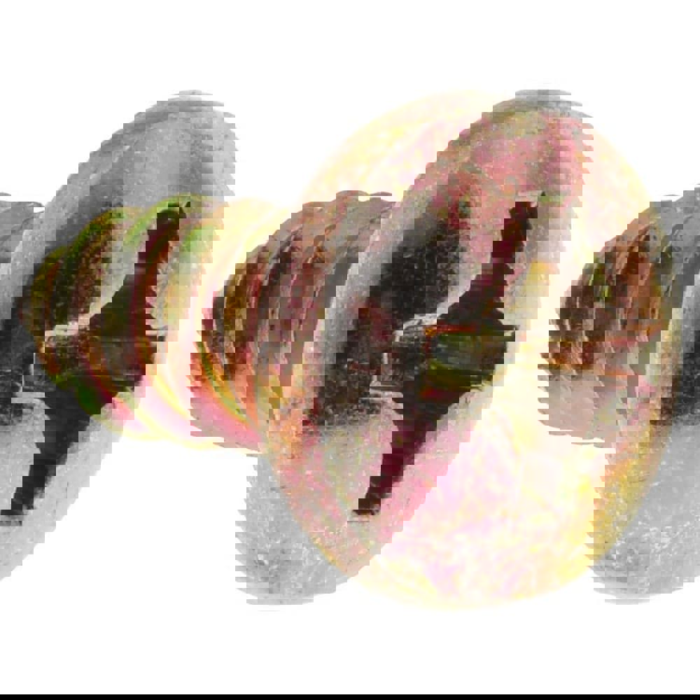 Sheet Metal Screw: #12, Pan Head, Phillips