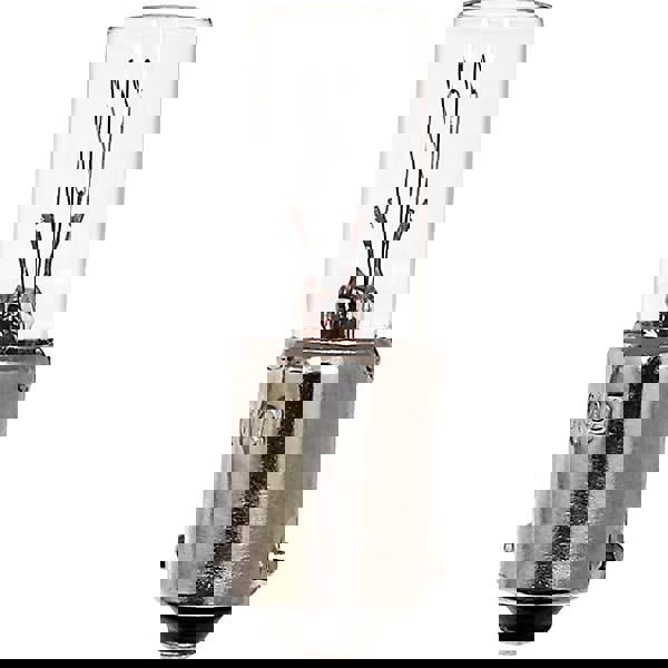 Incandescent Miniature & Specialty S8 Lamp