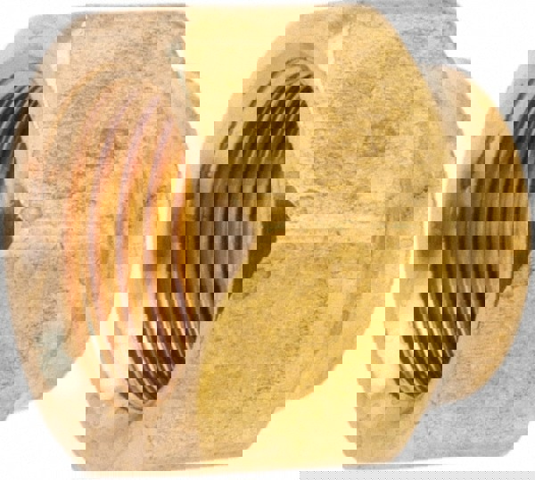 Lead Free Brass Flared Tube Nut: 5/8