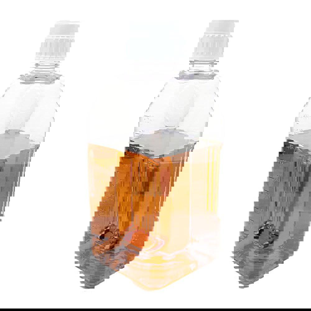 Jars, Bottles & Jugs; Container Type: Bottle ; Body Material: PETG ; Material Family: Plastic ; Body Color: Clear ; Color: Clear ; Volume Capacity: 2000 mL