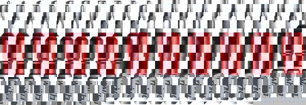 Power Screwdriver Bit: T20 Torx, 1/4