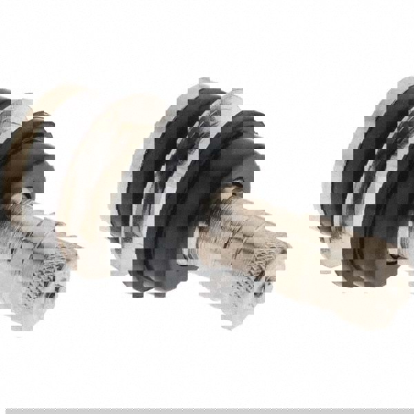 Tire Valve Stem Assembly: