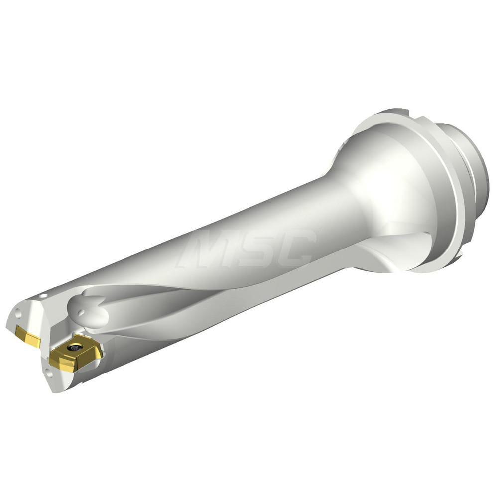 Indexable Insert Drills; Drill Style: DS20; Drill Diameter (mm): 29.00; Maximum Drill Depth (mm): 116.00; Shank Type: Straight-Cylindrical; Shank Diameter (mm): 32.00; Number of Drill Inserts: 2; Cutting Direction: Right Hand; Maximum Drill Depth Range (m