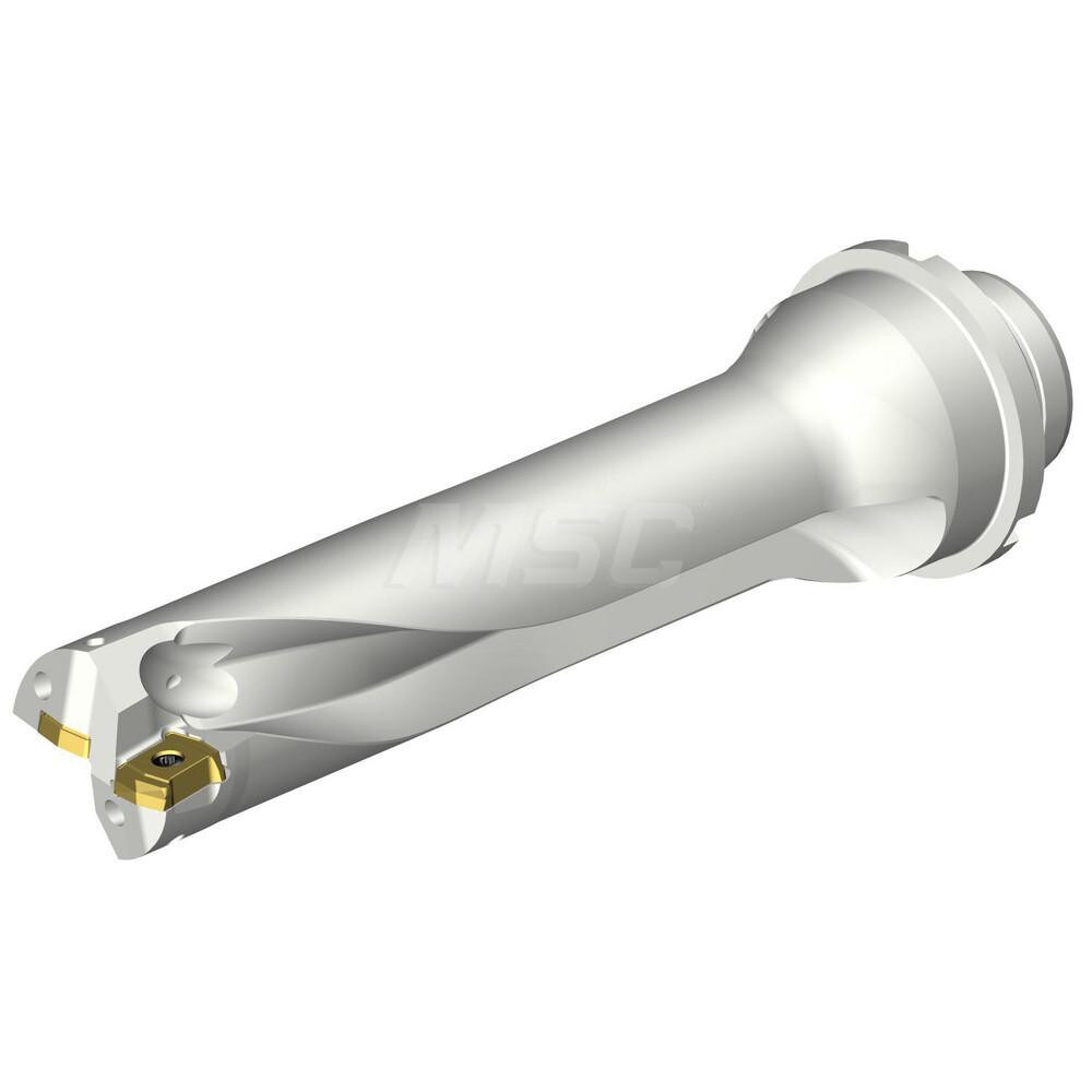 Indexable Insert Drills; Drill Style: DS20; Drill Diameter (Inch): 1-1/4; Maximum Drill Depth (Inch): 5; Maximum Drill Depth (Decimal Inch): 5.0000; Shank Type: Straight-Cylindrical; Shank Diameter (mm): 32.00; Number of Drill Inserts: 2; Cutting Directio