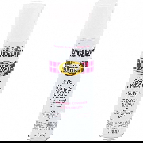 Enamel Spray Paint: White, Gloss, 12 oz