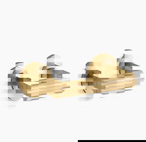 Wall Toilet Tissue Holder in Vibrant Brushed Moderne Brass