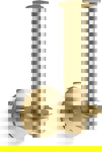 Wall Toilet Tissue Holder in Vibrant Brushed Moderne Brass