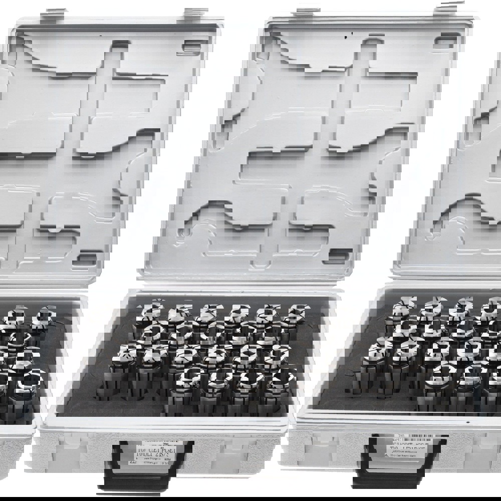 Collet Set: 21 Pc, Series TG/PG 100, 3/8