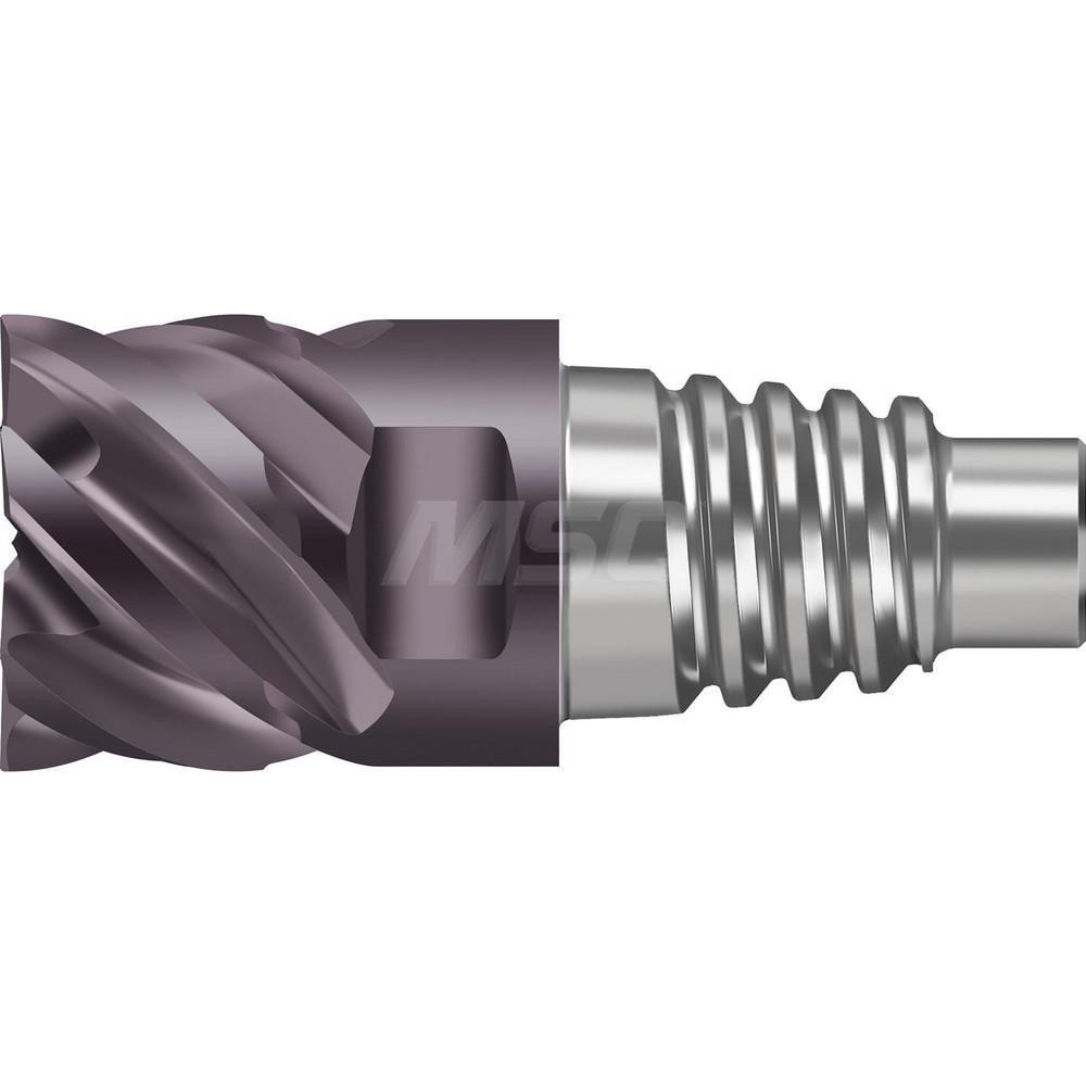 Square End Mill Heads; Mill Diameter (Decimal Inch): 0.3940 ; Mill Diameter (mm): 10.00 ; Length of Cut (mm): 21.9000 ; Connection Type: E10 ; Overall Length (mm): 33.1000 ; Material: Solid Carbide
