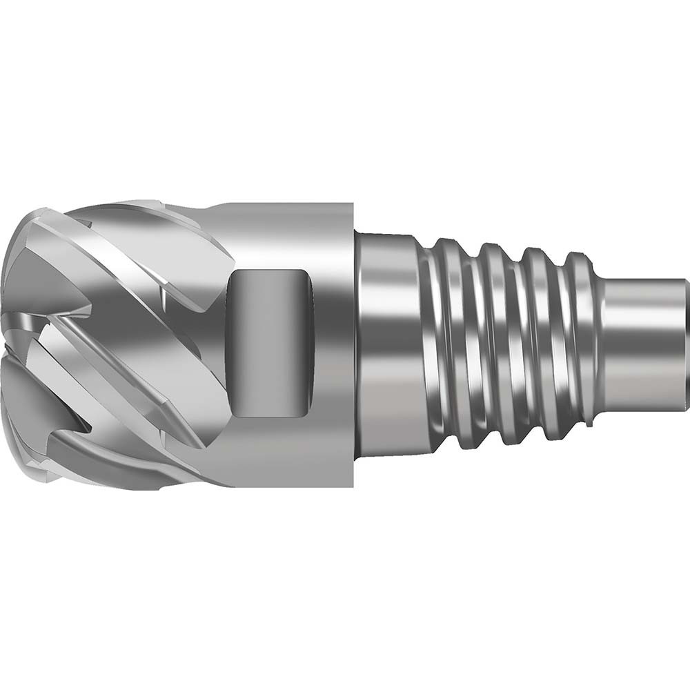 Corner Radius & Corner Chamfer End Mill Heads; Mill Diameter (mm): 10.00 ; Length of Cut (mm): 21.9 ; Number Of Flutes: 6 ; Overall Length (mm): 33.1 ; Corner Radius (mm): 1 ; End Mill Material: Solid Carbide