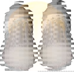 Ability One Aircraft Cleaning Brush