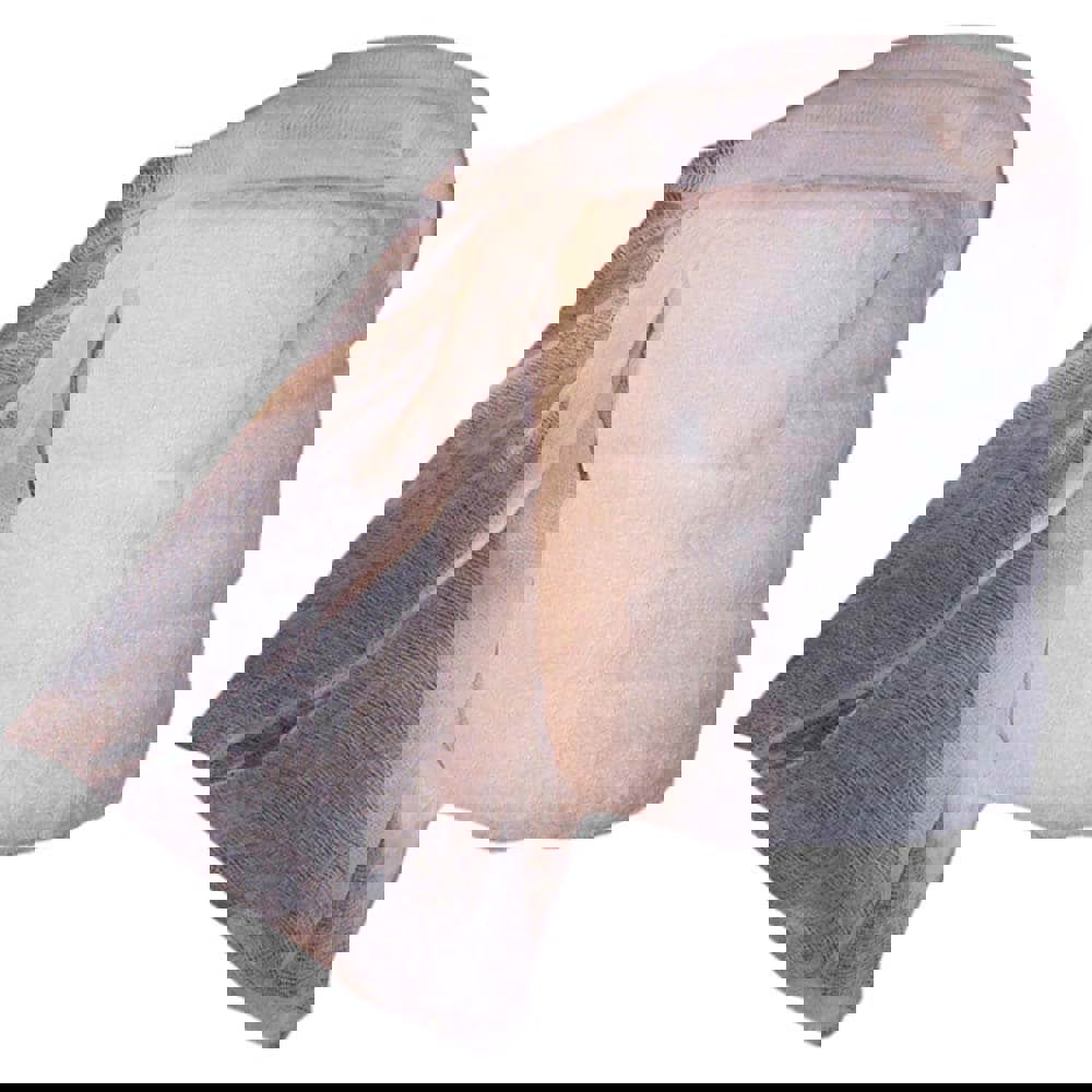 CLOTH, CLEANING, WHITE, 21