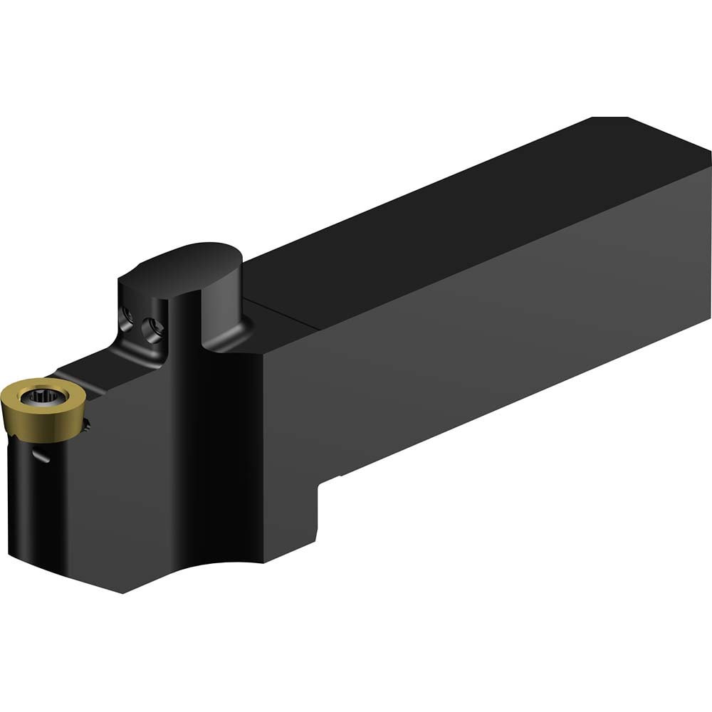 Indexable Turning Toolholder: QS-SRDCN-202025-10XC, Screw & Clamp