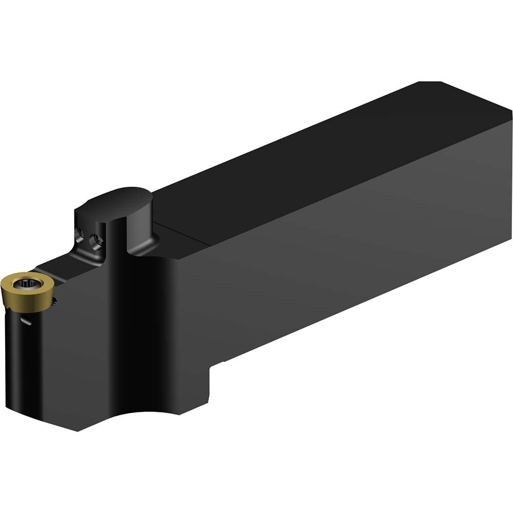 Indexable Turning Toolholder: QS-SRDCN-252525-10XC, Screw & Clamp