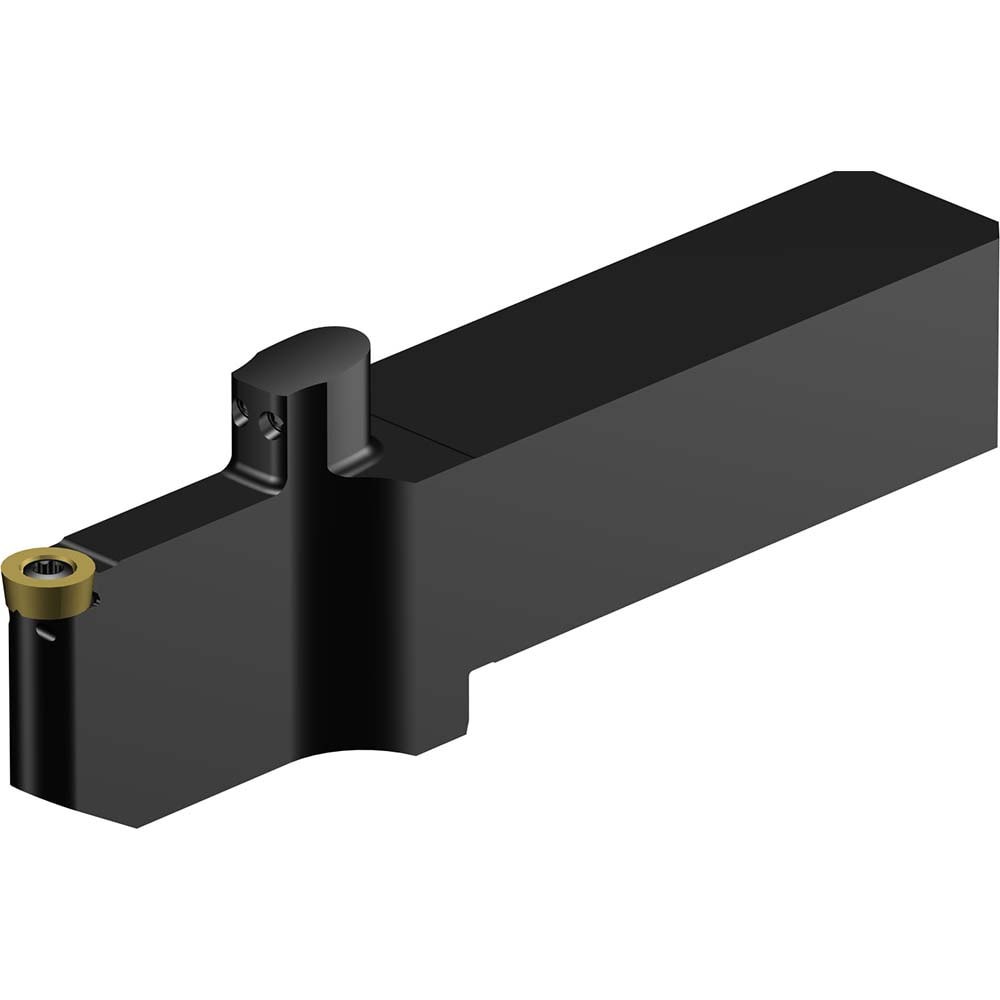 Indexable Turning Toolholder: QS-SRDCN-252540-10XC, Screw & Clamp
