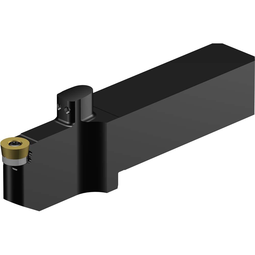 Indexable Turning Toolholder: QS-SRDCN-252540-12XC, Screw & Clamp