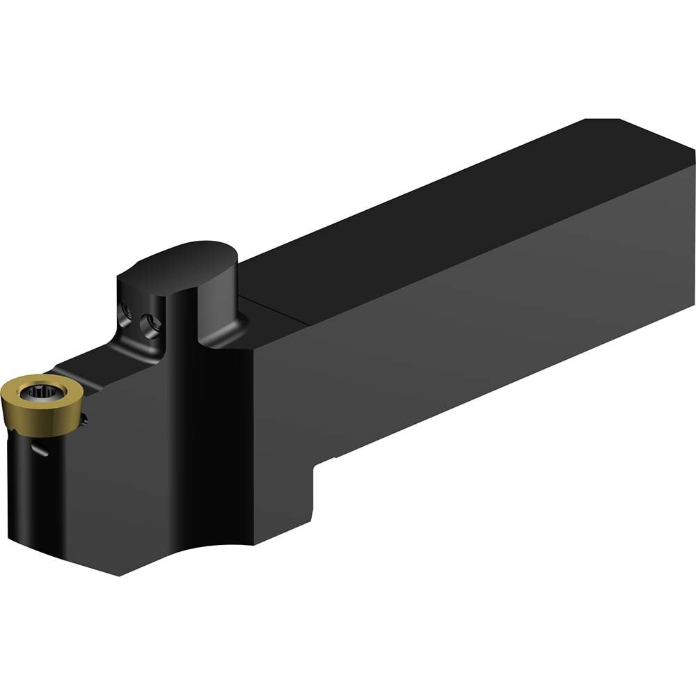 Indexable Turning Toolholder: QS-SRDCN-12-25-10XC, Screw & Clamp