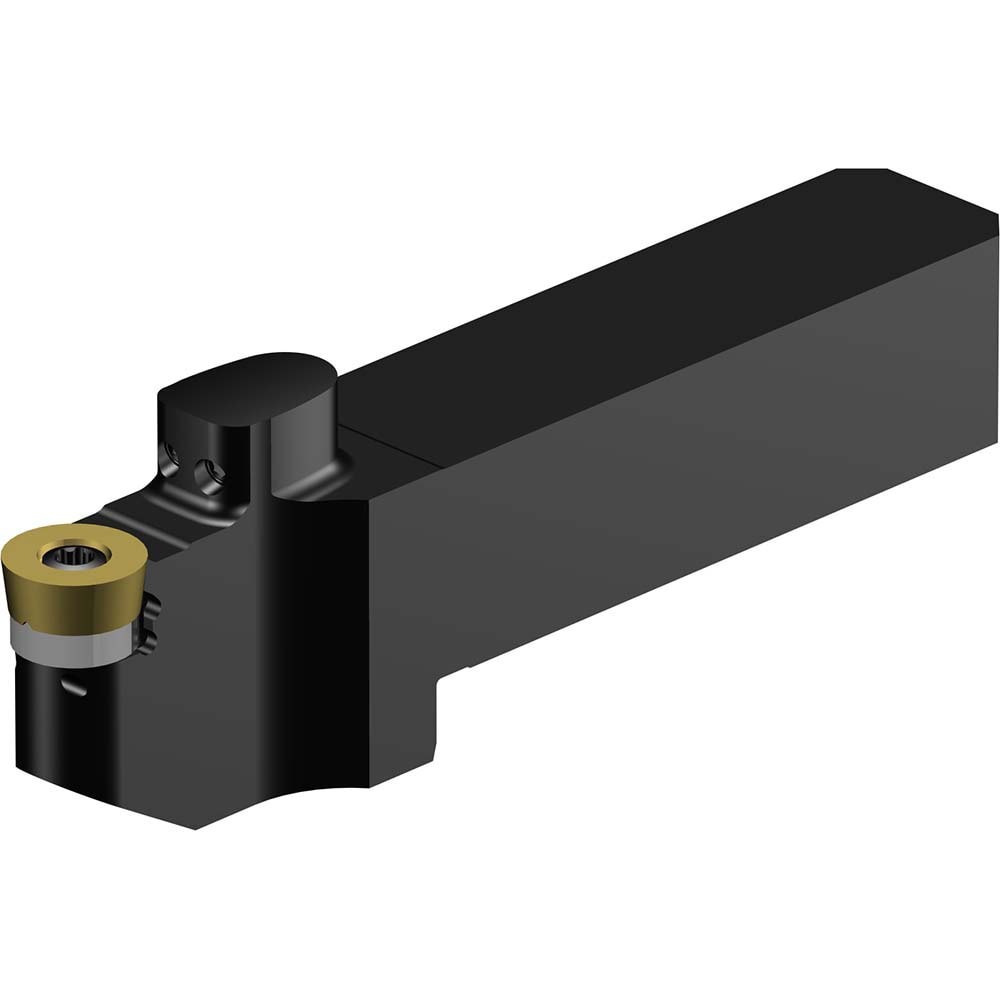 Indexable Turning Toolholder: QS-SRDCN-12-25-12XC, Screw & Clamp
