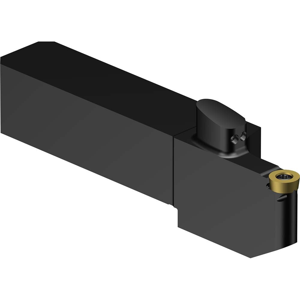 Indexable Turning Toolholder: QS-SRDCL-202020-08XC, Screw & Clamp