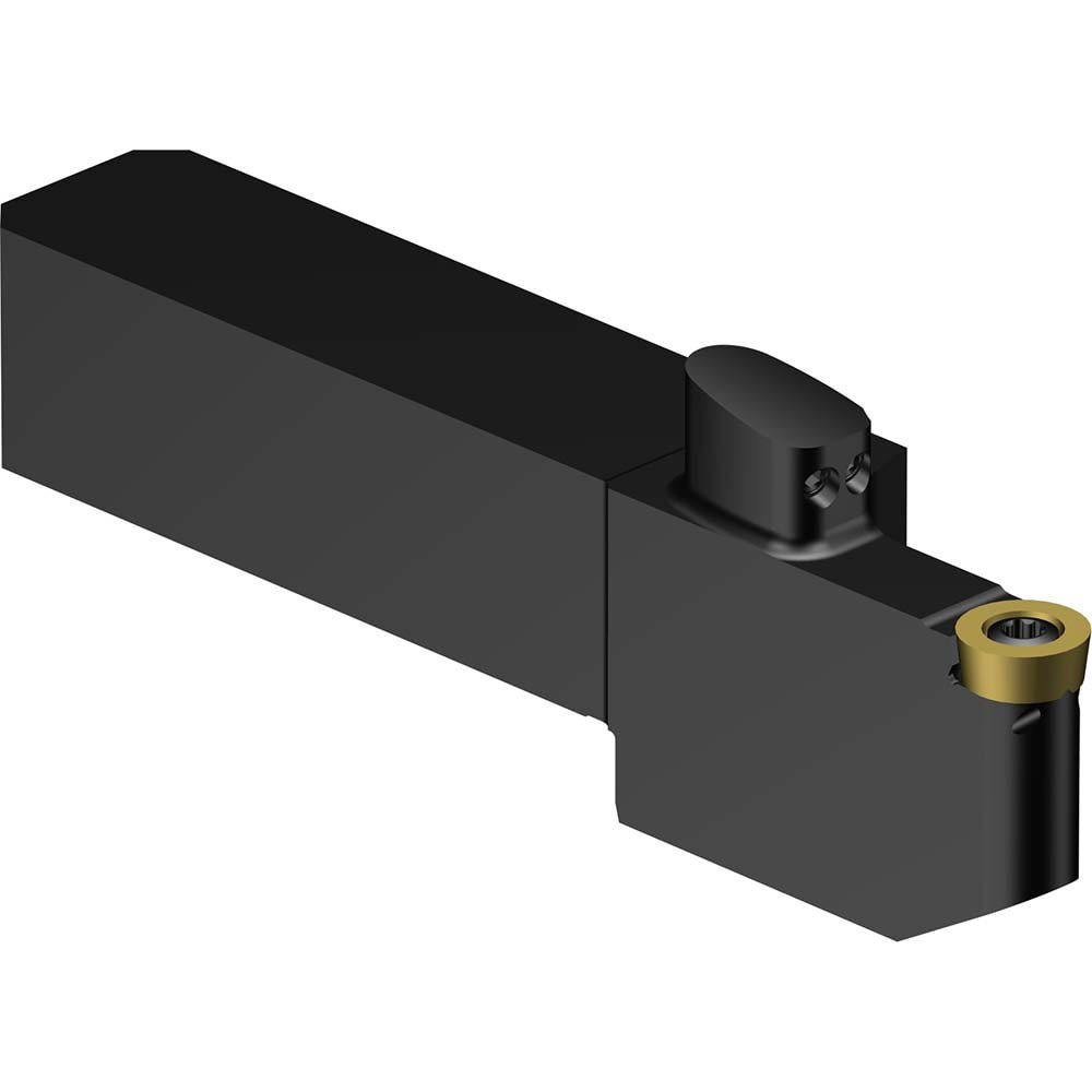 Indexable Turning Toolholder: QS-SRDCL-202025-10XC, Screw & Clamp