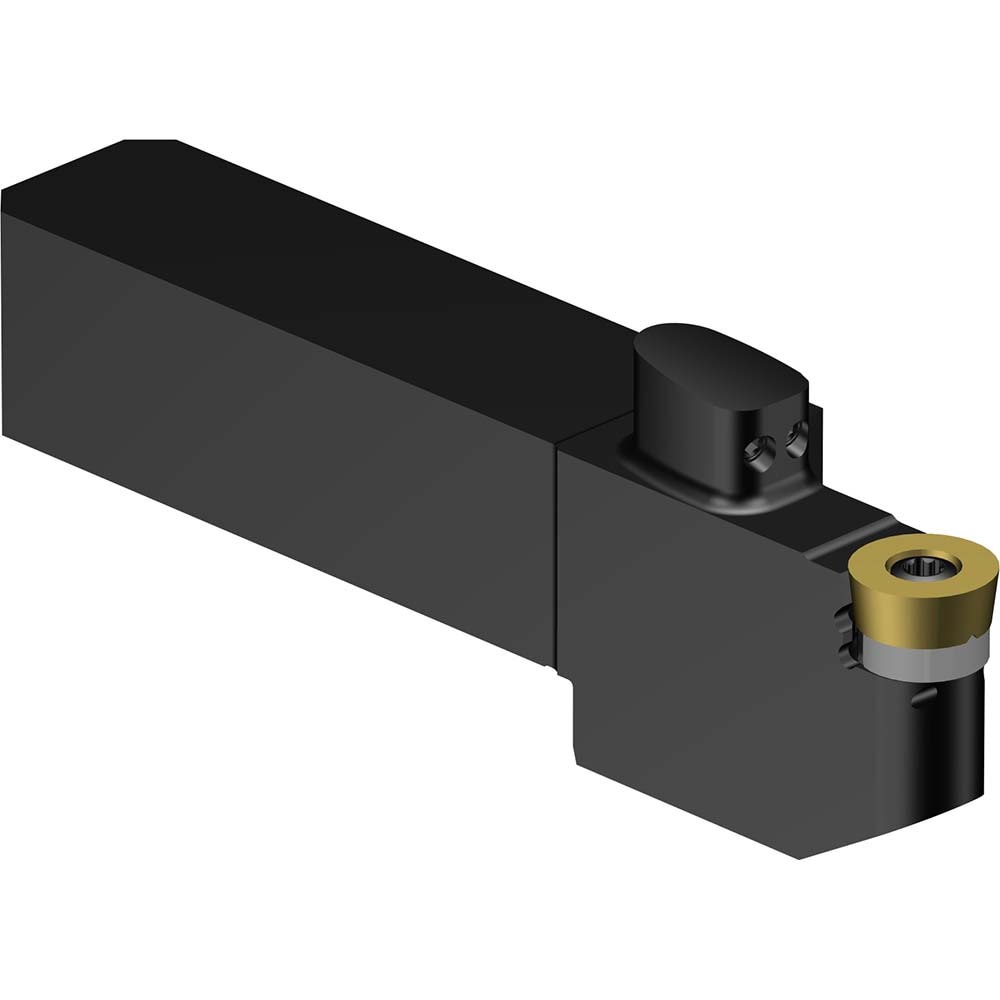 Indexable Turning Toolholder: QS-SRDCL-202025-12XC, Screw & Clamp