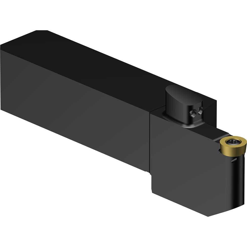 Indexable Turning Toolholder: QS-SRDCL-252525-10XC, Screw & Clamp