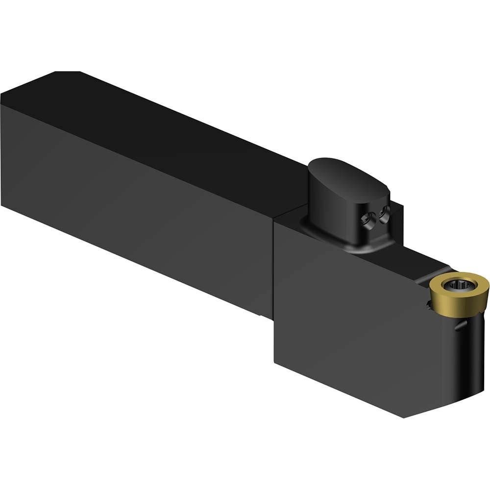 Indexable Turning Toolholder: QS-SRDCL-12-25-10XC, Screw & Clamp