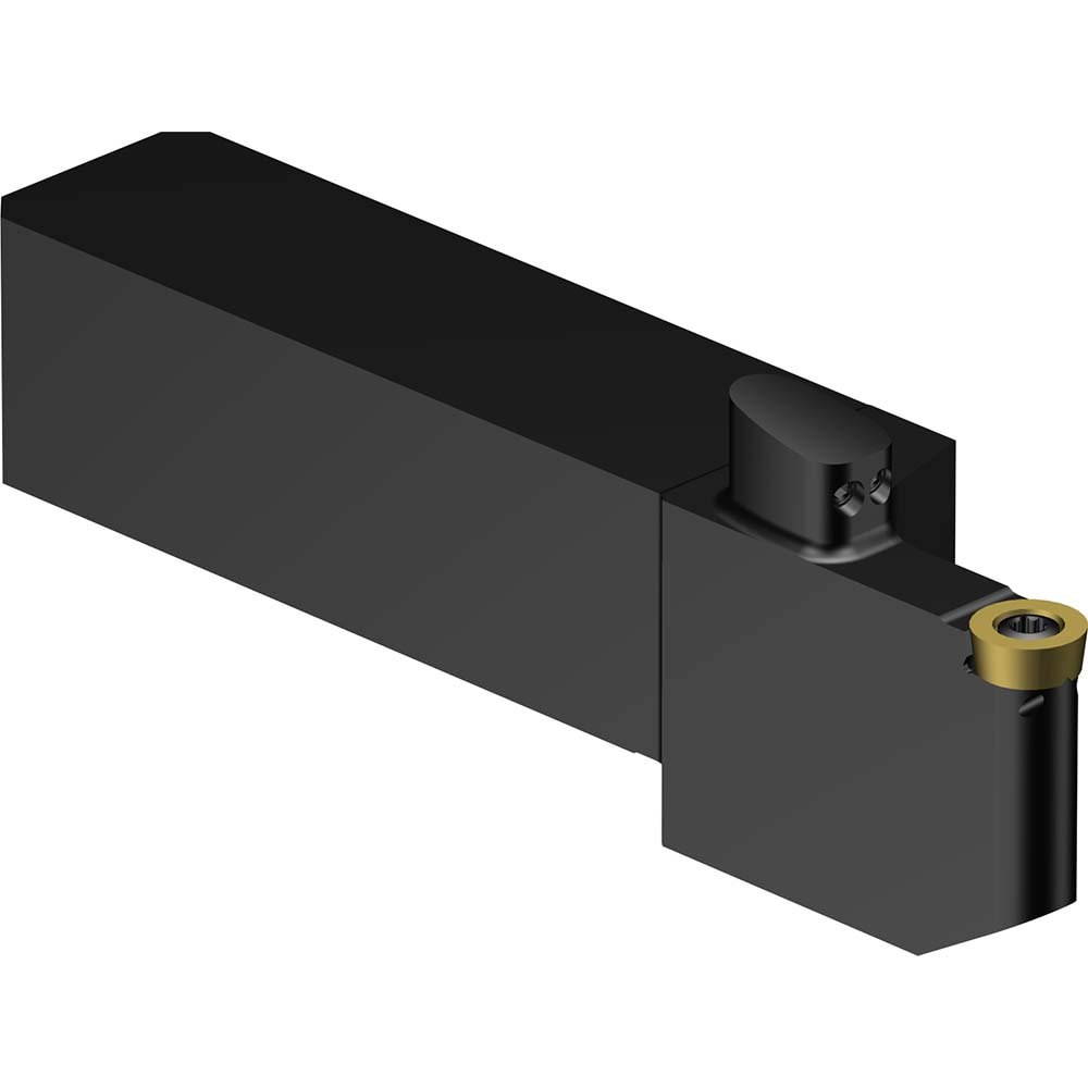 Indexable Turning Toolholder: QS-SRDCL-16-25-10XC, Screw & Clamp