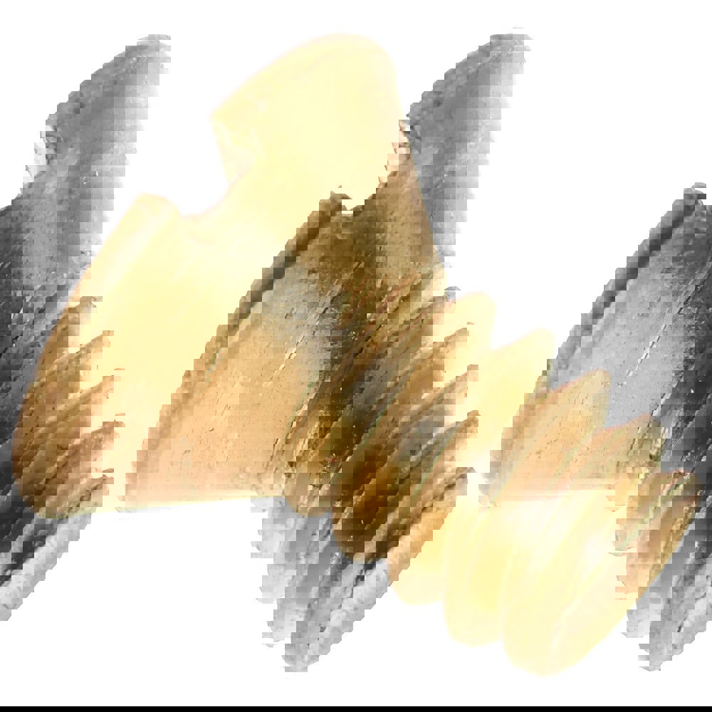 Machine Screw: #6-32 x 1/4