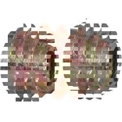 1/4-20, Zinc Alloy Flush Hex Drive...