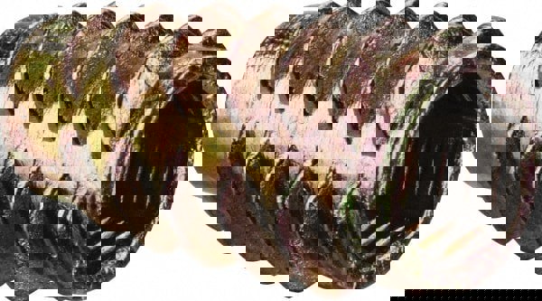 Threaded Insert Spec Dr Zinc