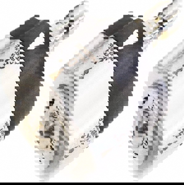 3,600 psi Adjustable, Metal, 5-N-1 Pressure Washer Nozzle