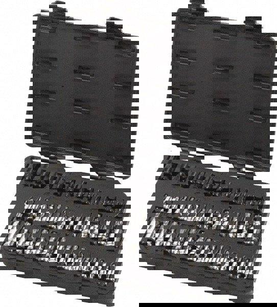 Torx Bit Socket Set: 36 Pc