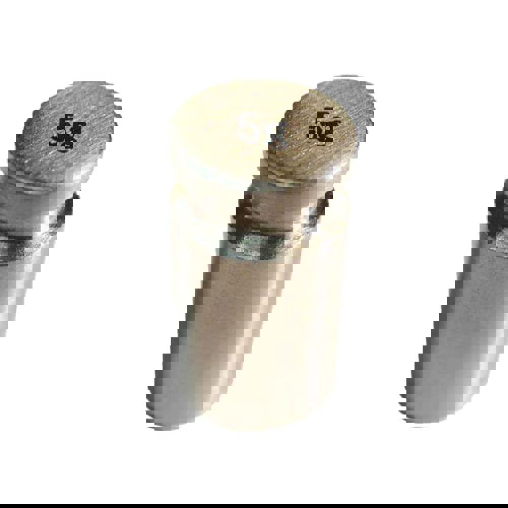 5 g Calibration Mass