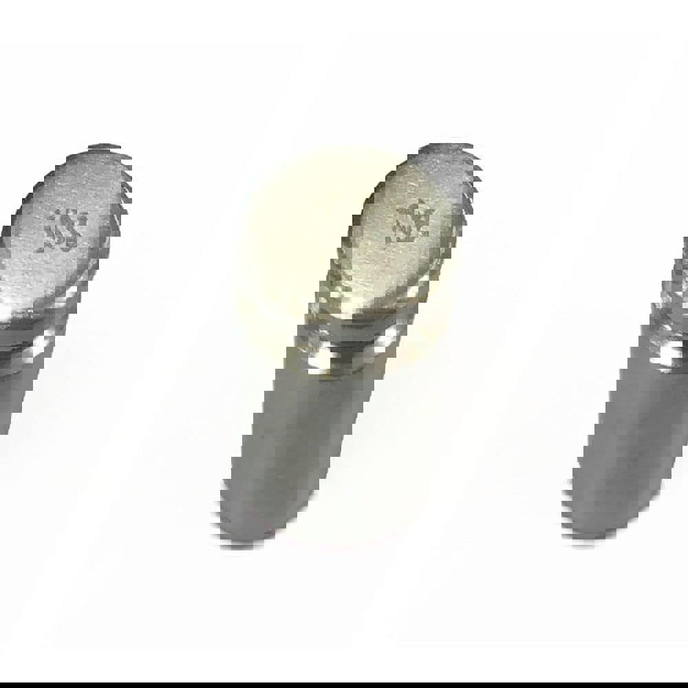 10 g Calibration Mass
