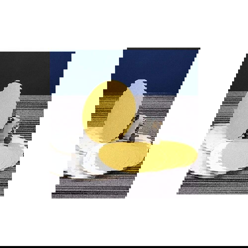 Hook & Loop Disc: 100 Grit, Coated, Aluminum Oxide