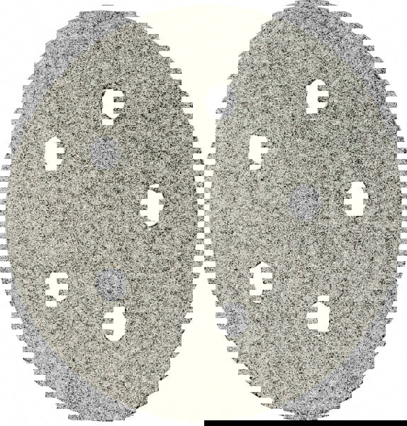 Hook & Loop Disc: 100 Grit, Coated, Silicon Carbide