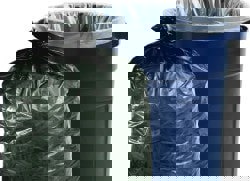 8105015346826,BAG,INSECT